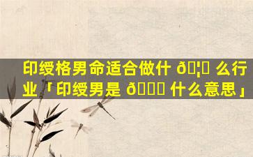 印绶格男命适合做什 🦉 么行业「印绶男是 🐅 什么意思」